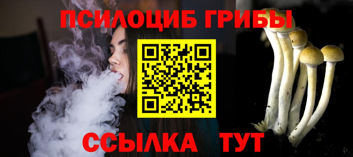 Галлюциногенные грибы Magic Shrooms Светлоград