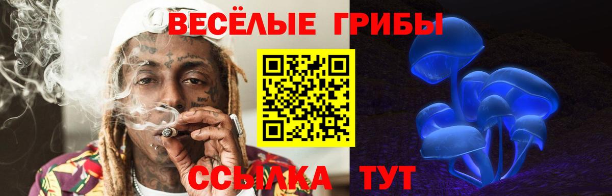 Галлюциногенные грибы мухоморы  Вход с VPN  Светлоград 